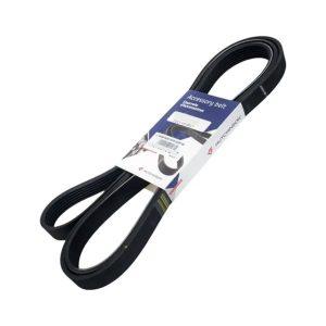 CORREA POLY-V		6PK 1000