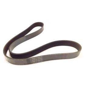 CORREA POLY-V		6PK 760 SF